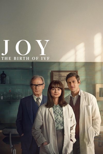 movie poster for Joy