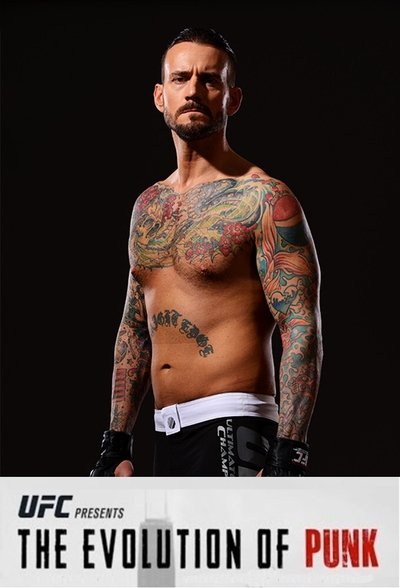 poster for The Evolution of Punk