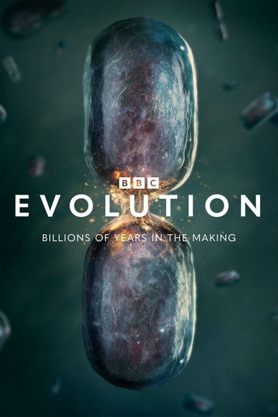 Evolution