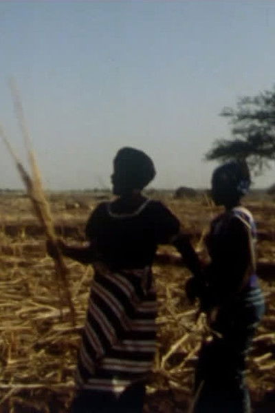 Poster do Filme Lim, lam, lom