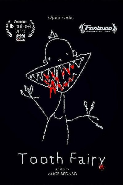 Poster do Filme Tooth Fairy