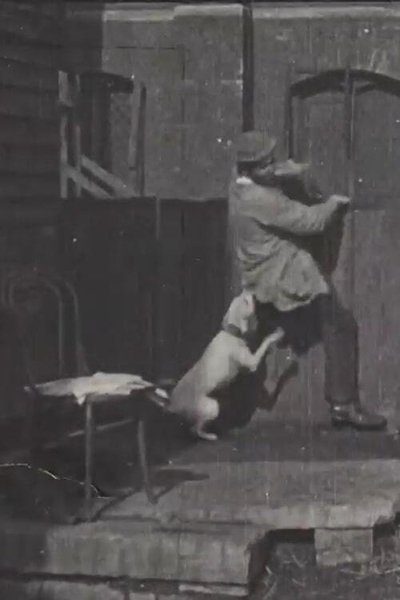 The Tramp and the Dog poster The Tramp and the Dog