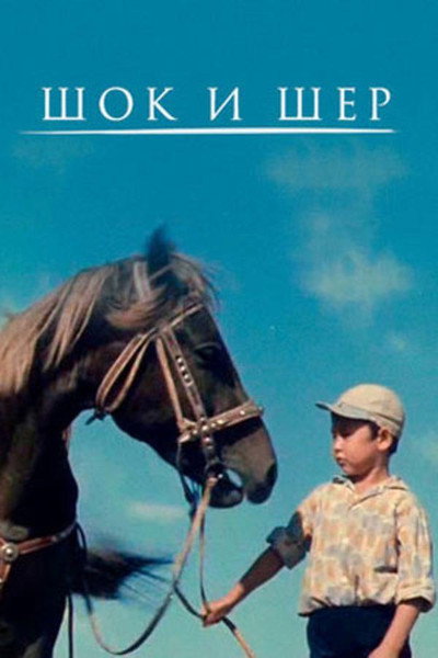 Poster do Filme Шок и Шер