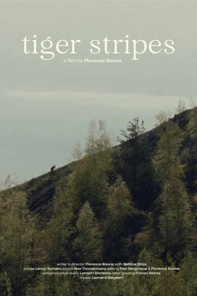 movie poster for Tiger Stripes