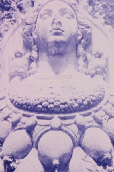 Poster do Filme Shadows from the Western Wall