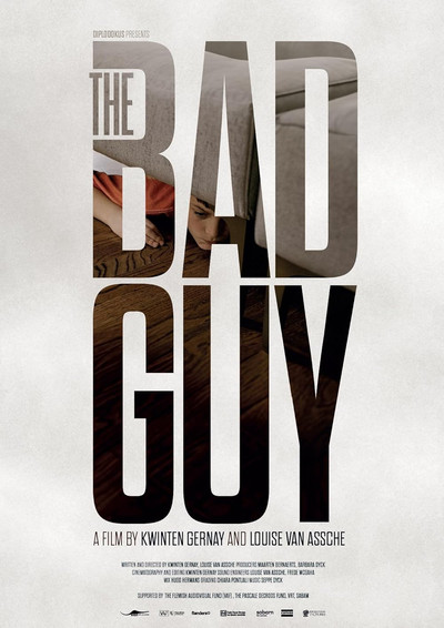movie poster for The Bad Guy