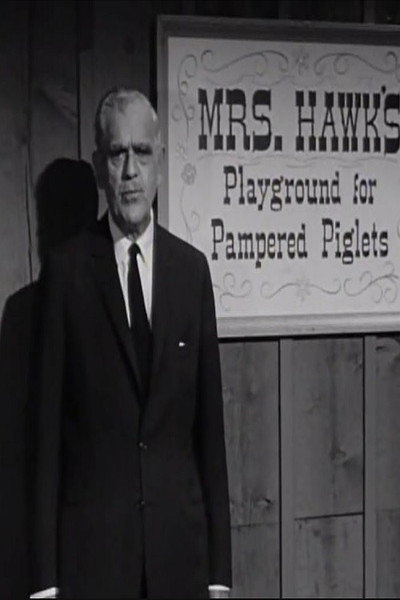 The Remarkable Mrs. Hawk