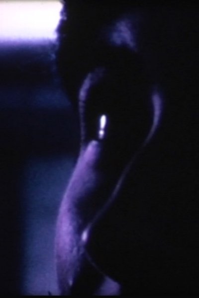 movie poster for The Steel Chickn