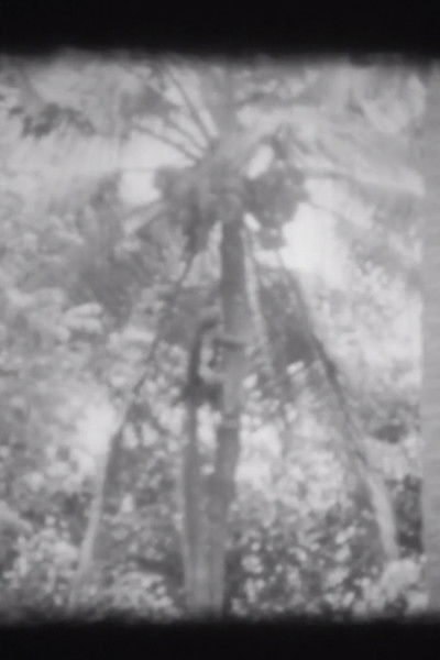 Poster do Filme Trunks