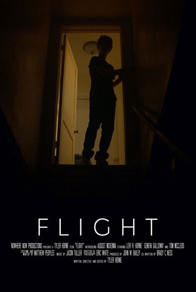 Poster do Filme Flight