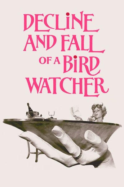 Poster for the movie Decline and Fall ...of a Birdwatcher