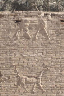 Poster do Filme ج-ن-ن