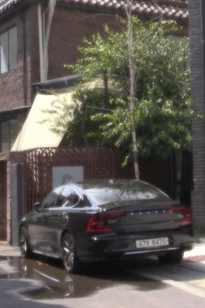 Poster do Filme Tree Above Volvo