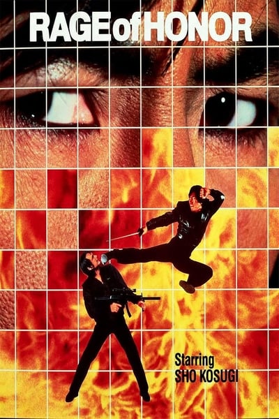 Poster for the movie Rage of Honor