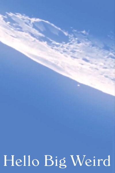 Poster do Filme Hello Big Weird