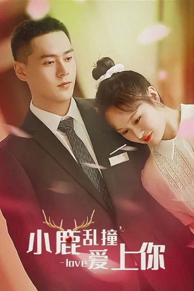 小鹿乱撞爱上你