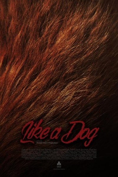 Poster do Filme Like A Dog