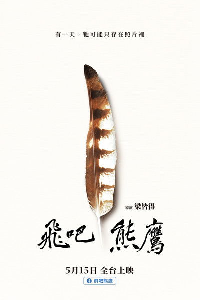 movie poster for 飛吧!熊鷹
