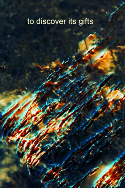 Poster do Filme One Duck Down