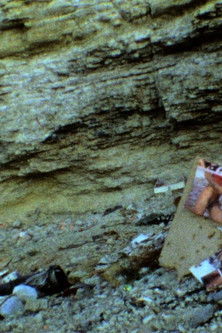 Poster do Filme Those Inescapable Slivers of Celluloid