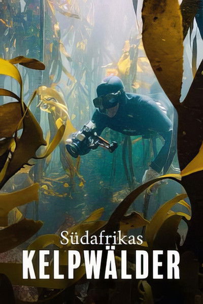 Poster do Filme Der Kelpwald - Südafrikas geheimnisvolle Unterwasserwelt