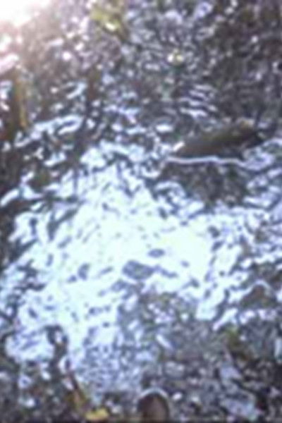 Poster do Filme Sky Light