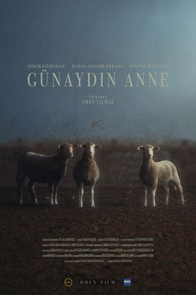 Poster do Filme Günaydın Anne