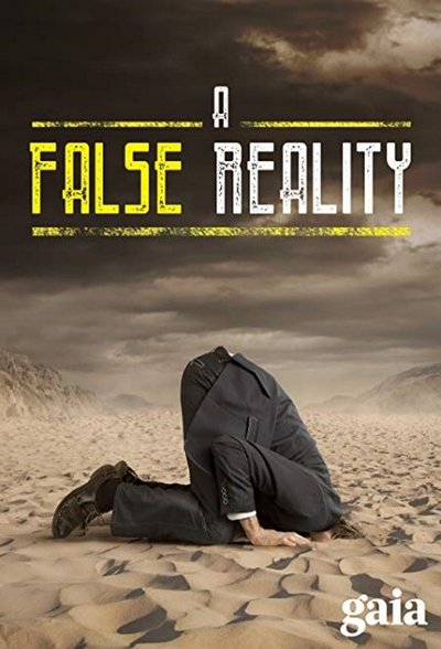 Poster do Filme A False Reality