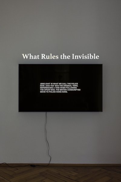 Poster do Filme What Rules the Invisible