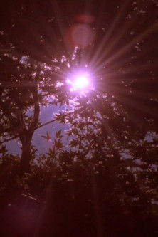 movie poster for Fullmoon