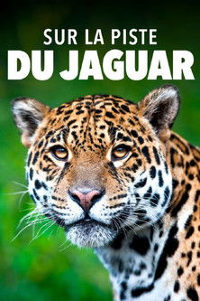 Poster do Filme Sur la piste du jaguar au Guyana