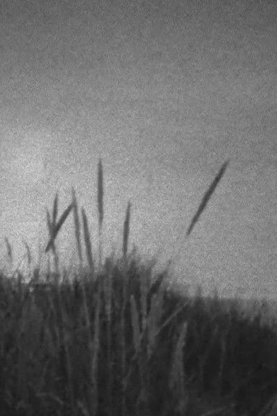 Poster do Filme A Storm at Sea