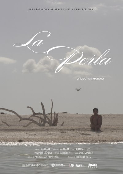 Poster do Filme La Perla