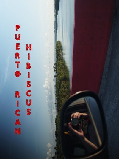 Poster do Filme Puerto Rican Hibiscus