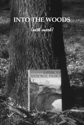 Poster do Filme Into the Woods with Mark