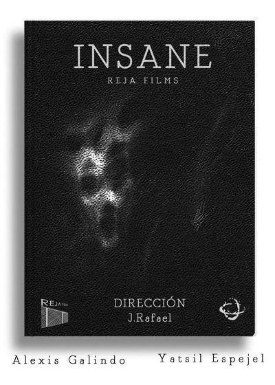 Poster do Filme Insane