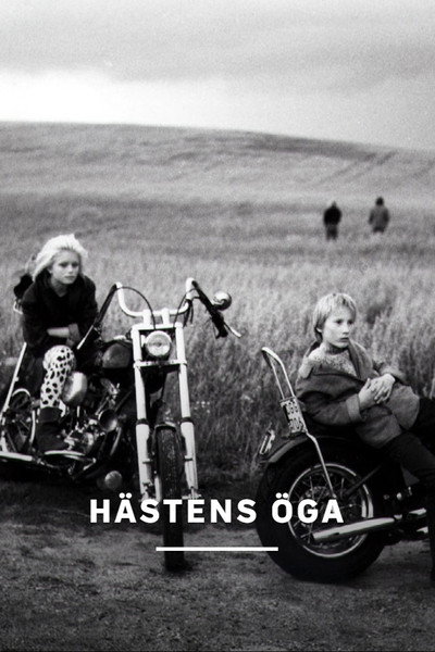 Hästens öga