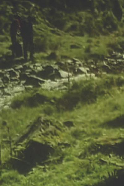 movie poster for Temps couvert