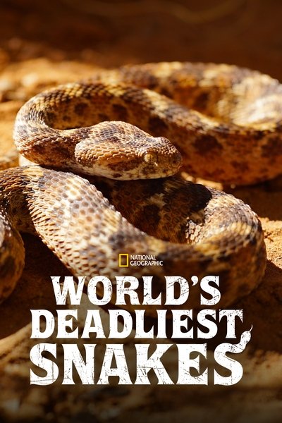 poster for World's Deadliest Snakes