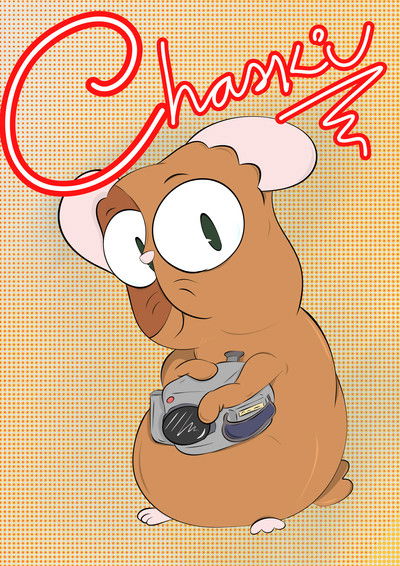 movie poster for Chaski