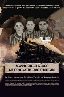movie poster for Matricule 31000, le courage des ombres