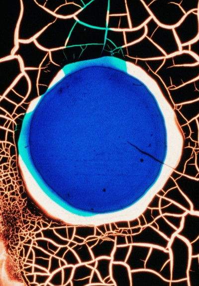 movie poster for The Girl's Nervy.