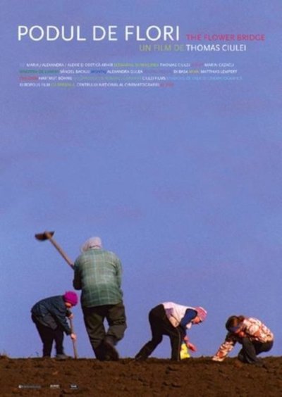 Poster do Filme Podul de flori