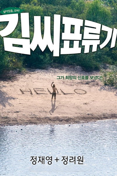 Poster do Filme Náufrago da Lua