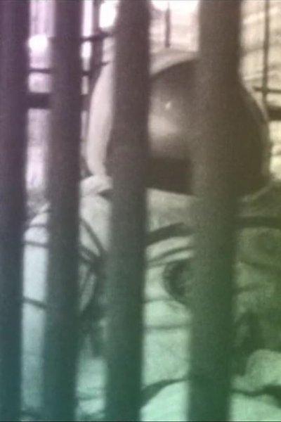 Poster do Filme On The Good Earth