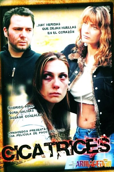 Poster for the movie Scars