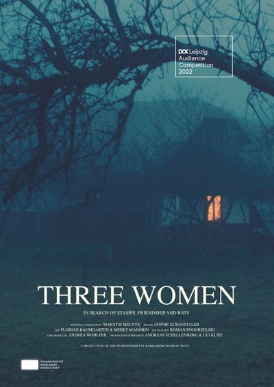Poster do Filme Drei Frauen