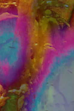 Poster do Filme MY PHANTOM LIMB