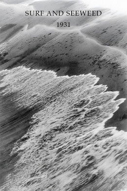 Poster do Filme Surf and Seaweed