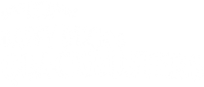 Daffy Duck's Quackbusters Logo